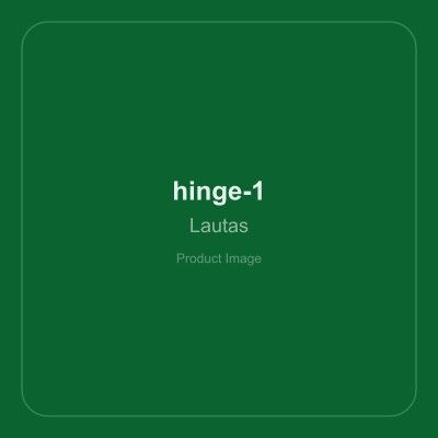 Sleek SS 304 SC 4H Hinges - Clip on